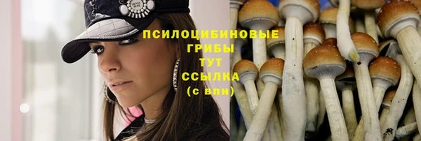 бутират Бородино